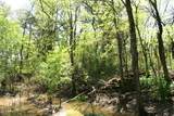 60-Acres Law 216 - Photo 7
