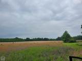 1178 Greene 409 Road - Photo 55
