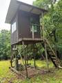 754 Greene 127 Road - Photo 2