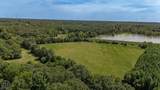 66-Acres Casey Springs Road - Photo 5