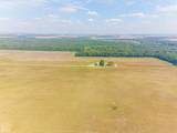 619-acres Flag Slough Lane - Photo 39