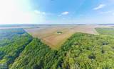 619-acres Flag Slough Lane - Photo 43