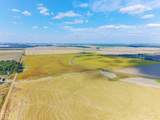 619-acres Flag Slough Lane - Photo 55