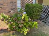 6253 Highway 351 - Photo 21