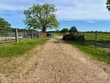 279 County Road 342 - Photo 10