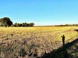 43-Acres County Road 936 - Photo 19