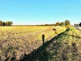 43-Acres County Road 936 - Photo 20
