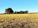 43-Acres County Road 936 - Photo 23