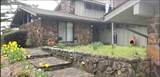 3649 Hwy 239 - Photo 14