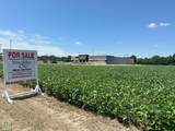 30 Highway 49 - Photo 4