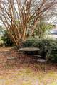 525 Thompson Street - Photo 12
