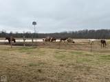 1323 County Road 304 - Photo 71