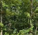 4-acres Heber Springs Road - Photo 2