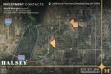 428 Acres - Photo 12