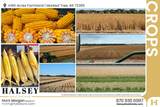166 Acres - Photo 18