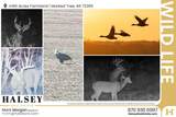 166 Acres - Photo 19