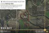 428 Acres - Photo 5