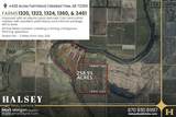 428 Acres - Photo 7