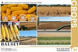428 Acres - Photo 9