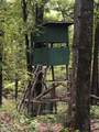 51-52 Buck Ridge Lane - Photo 1
