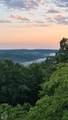 3567 Pitcher Hill Road - Photo 83
