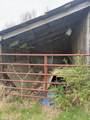 417 Mitchell Street - Photo 12