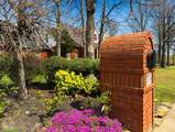 2114 Spring Hollow Drive - Photo 51