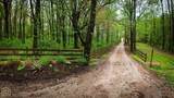 4851 County Rd 745 - Photo 44