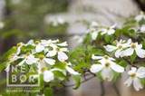 1407 Redbud Circle - Photo 22