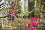 1407 Redbud Circle - Photo 23