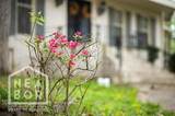1407 Redbud Circle - Photo 24
