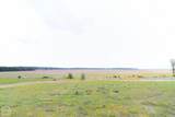 472 County Road 149 - Photo 38