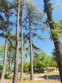 1601 Overhill Road - Photo 12
