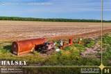855 Acres in Bono, Ar - Photo 9