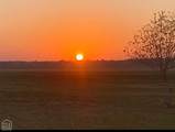 2729 County Road 960 - Photo 35