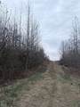 33 Acres M/L Greene 710 Road - Photo 12