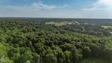 33 Acres M/L Greene 710 Road - Photo 13