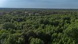 33 Acres M/L Greene 710 Road - Photo 14