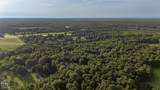 33 Acres M/L Greene 710 Road - Photo 4