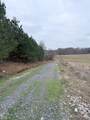 33 Acres M/L Greene 710 Road - Photo 5