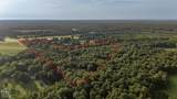 33 Acres M/L Greene 710 Road - Photo 7