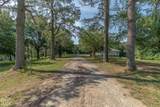 5 Lawrence Rd 2270 - Photo 4