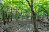 220 Ark Traveler Road - Photo 10
