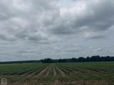 78-Acres Pineview Rd/Benson Ln - Photo 1