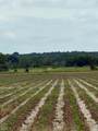 78-Acres Pineview Rd/Benson Ln - Photo 2