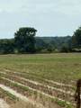 78-Acres Pineview Rd/Benson Ln - Photo 4
