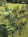 83 County Road 7629 - Photo 27