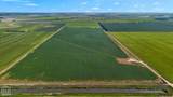 586 Acres Cr 153 - Photo 14
