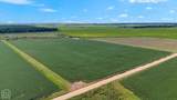 586 Acres Cr 153 - Photo 19