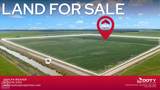 586 Acres Cr 153 - Photo 5